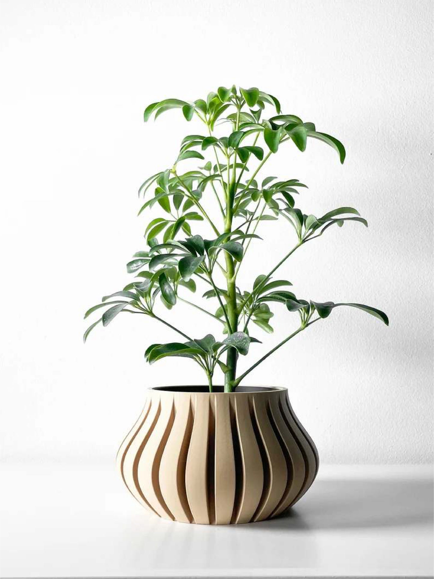 Toril Planter Pot