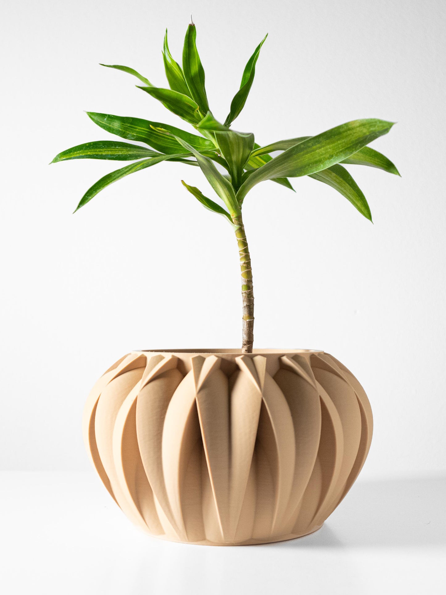 Halden Planter Pot