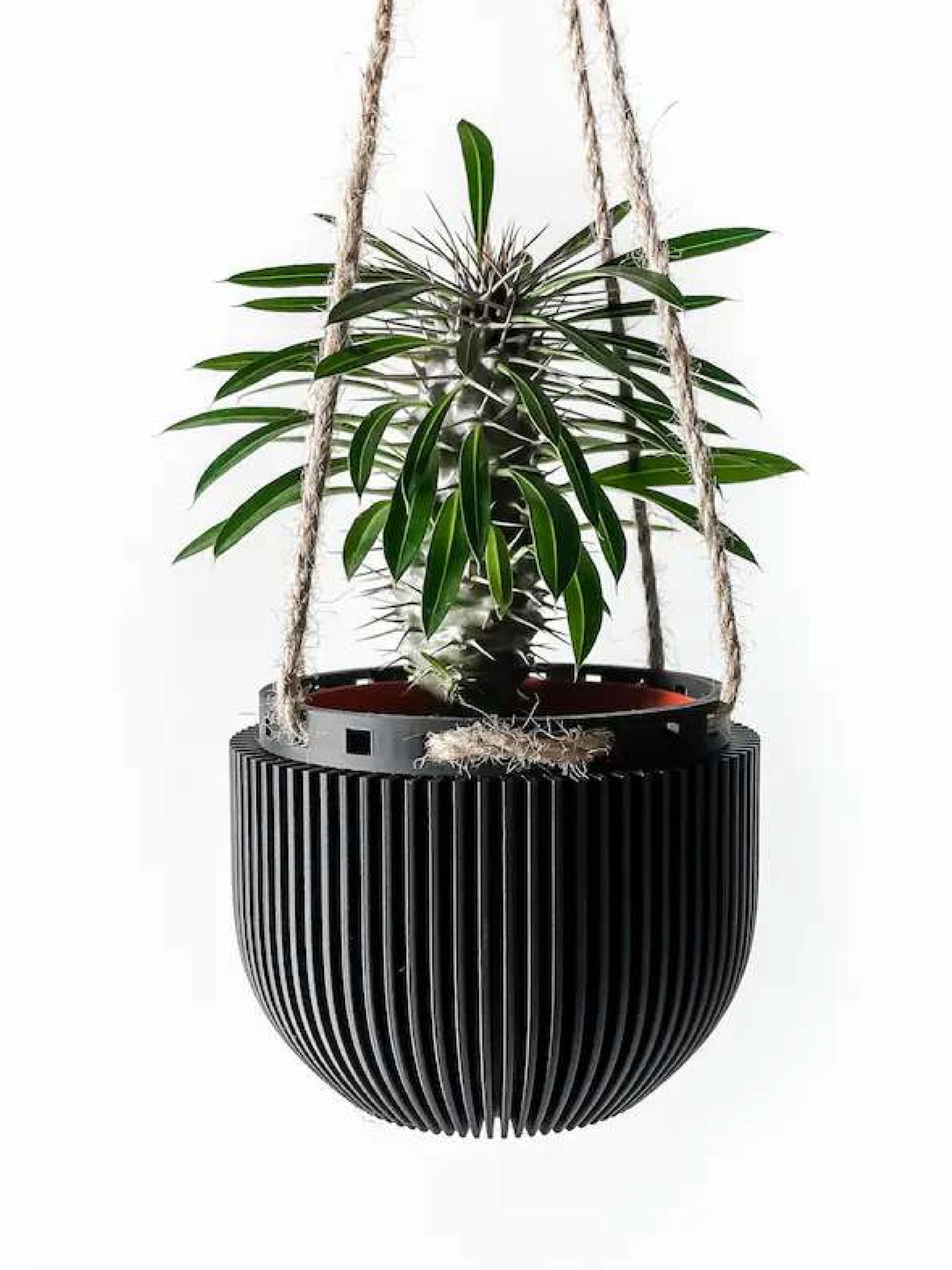 Paxon Hanging Planter Pot