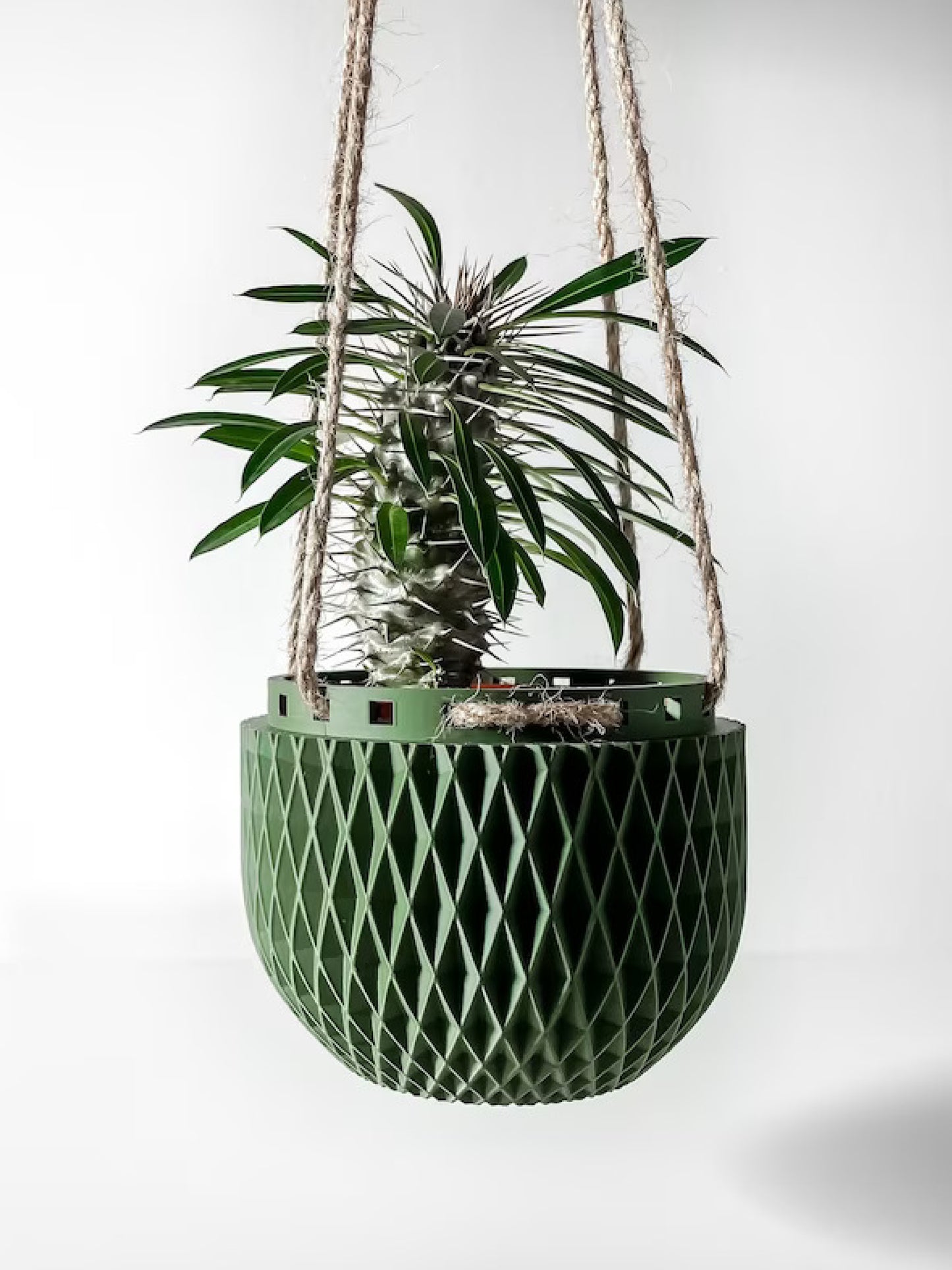 Dex Hanging Planter Pot