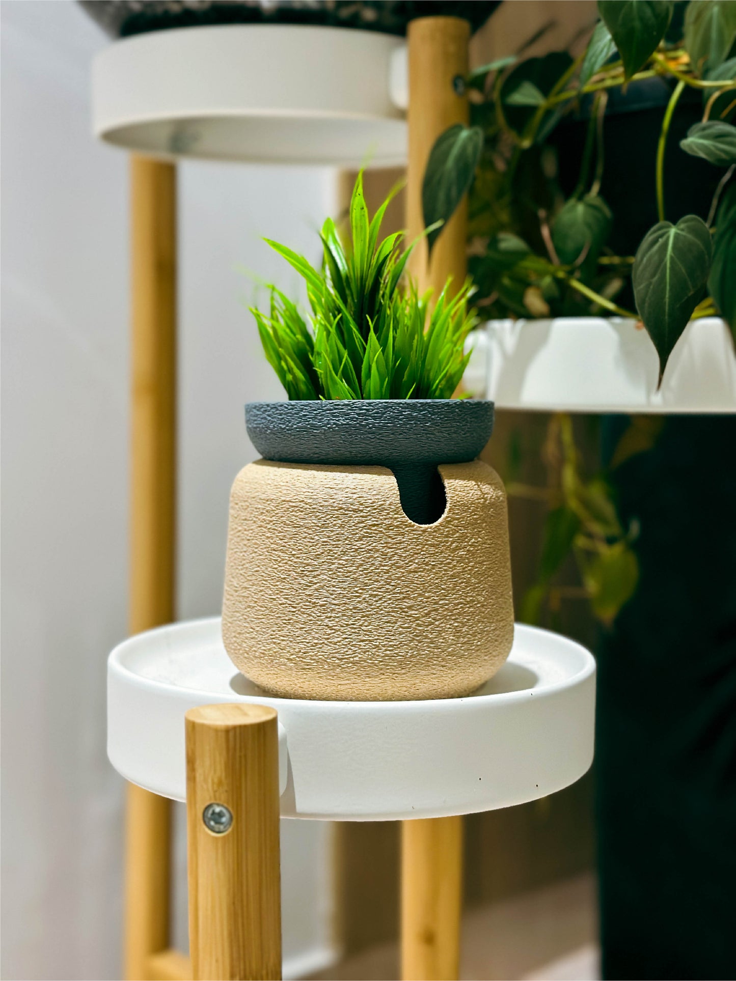 Self-watering planter