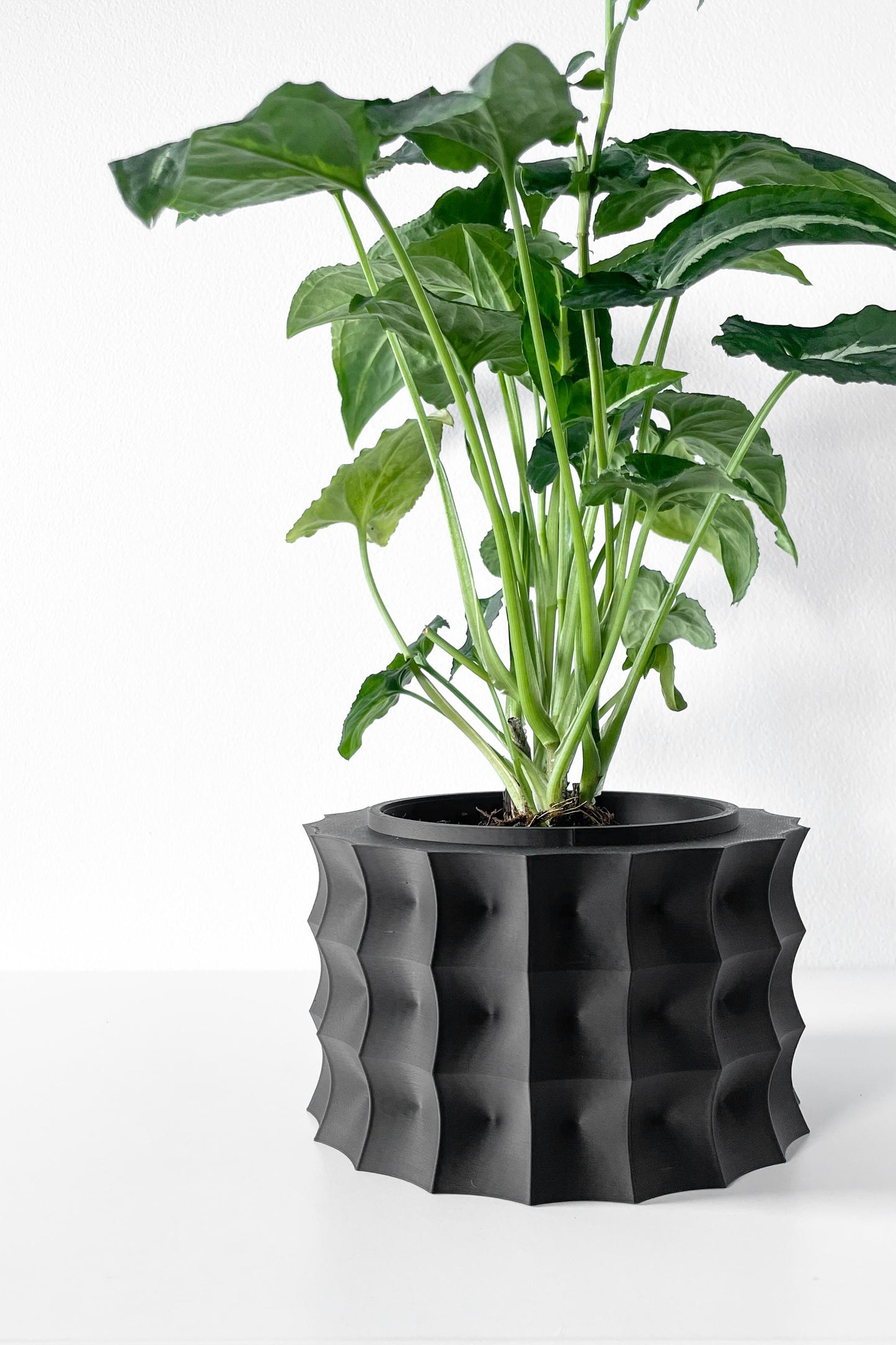 Kivern Planter Pot