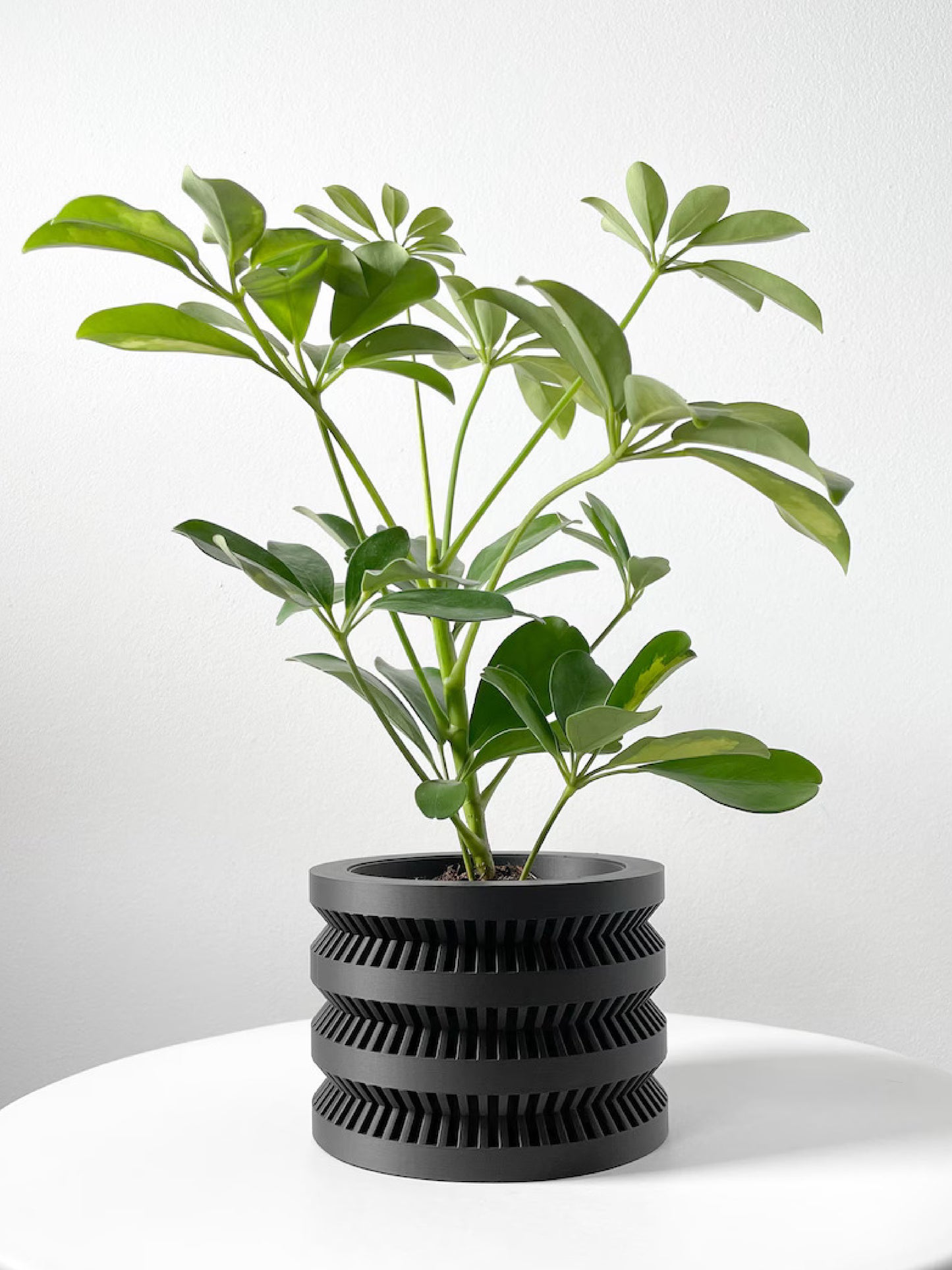 Civen Planter Pot