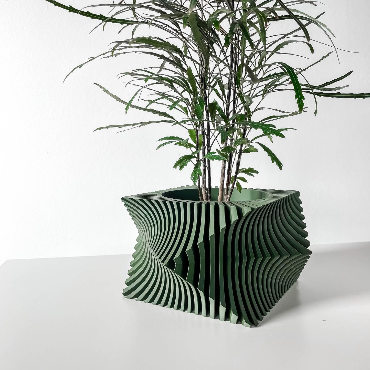 Anio Wacky Planter Pot